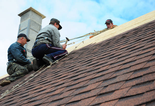 Best Gutter Installation and Roofing  in Lipscom, AL
